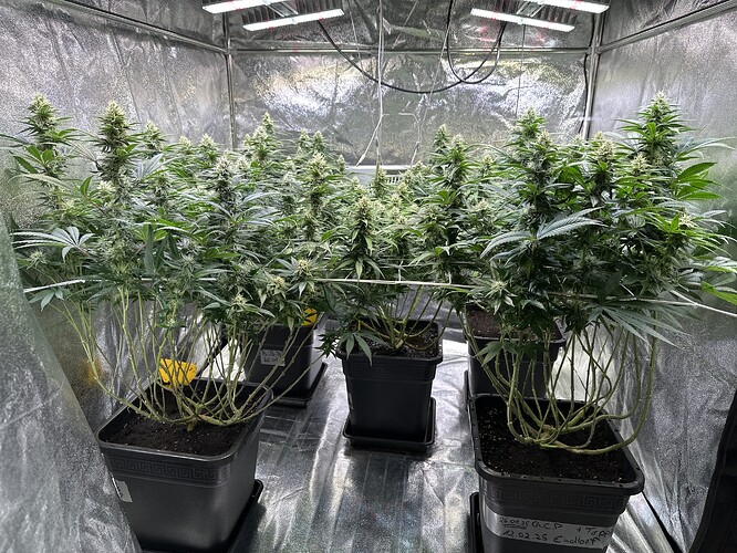 Growreport Bild 22