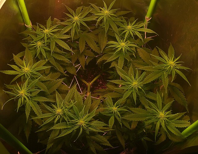 Growreport Bild 14