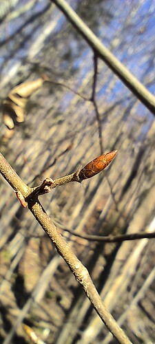 Growreport Bild 7