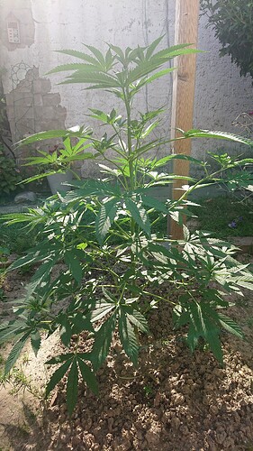Growreport Bild 86