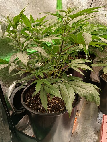 Growreport Bild 21