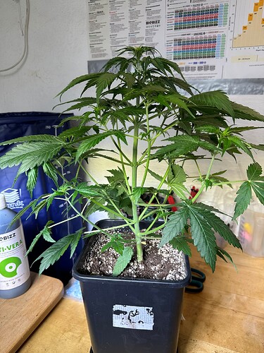 Growreport Bild 21