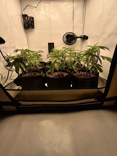 Growreport Bild 10