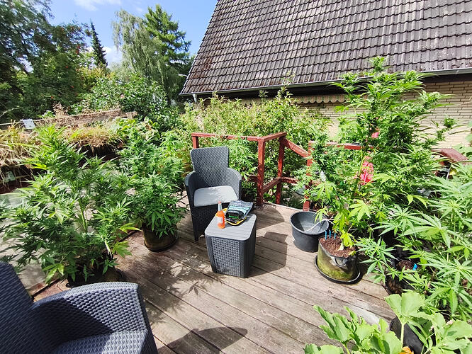 1000016881
