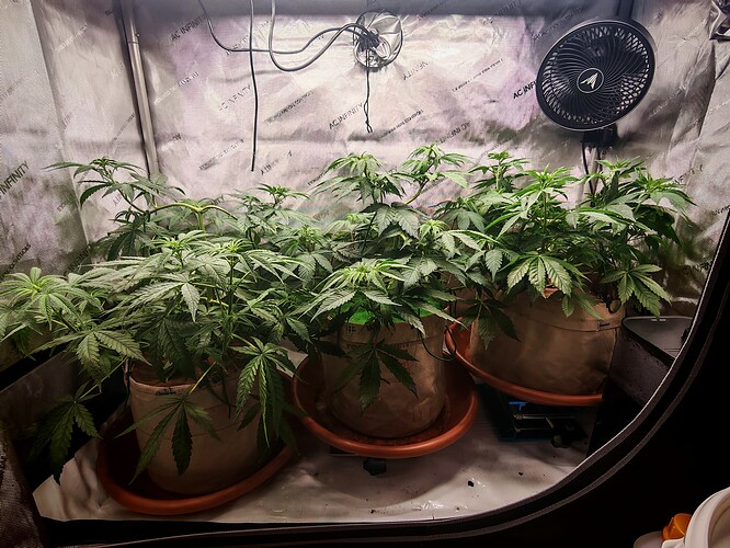 Growreport Bild 8