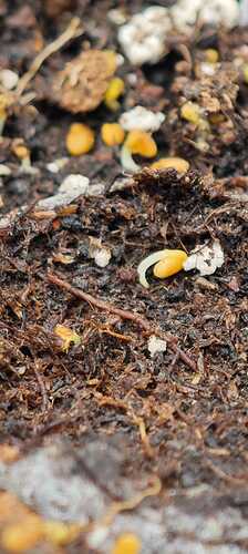 Growreport Bild 17