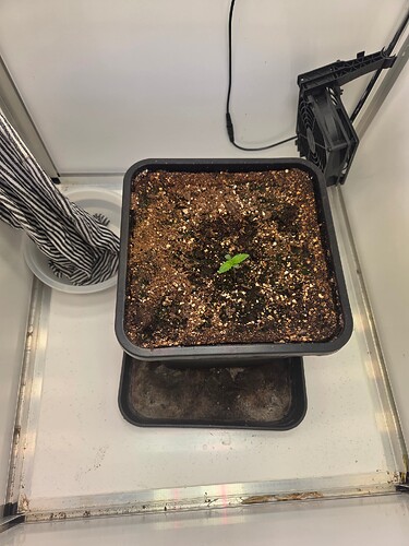 Growreport Bild 23
