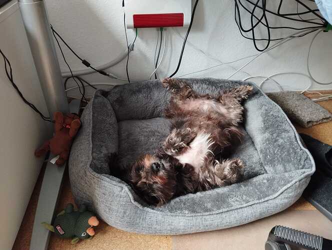 WhatsApp Bild 2024-09-18 um 10.40.27_4633f6ab