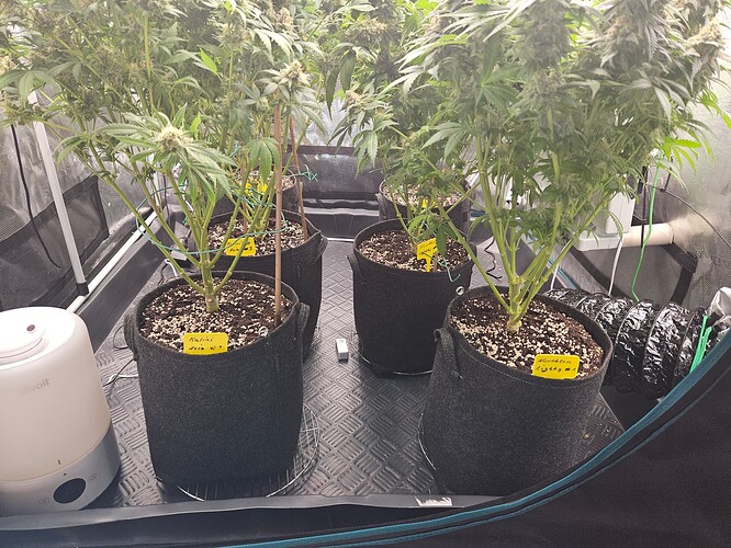 Growreport Bild 19