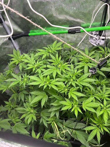 Growreport Bild 23