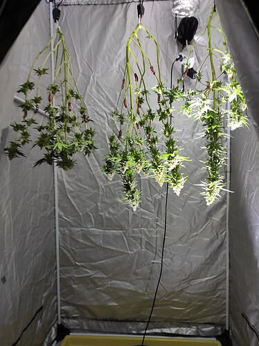 Growreport Bild 20