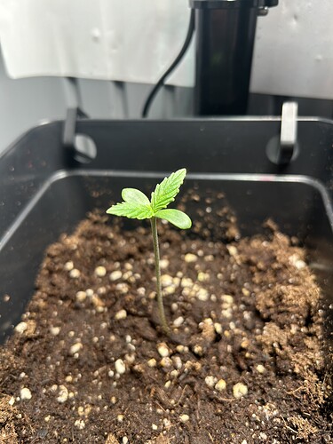 Growreport Bild 2