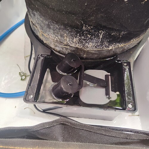Growreport Bild 1