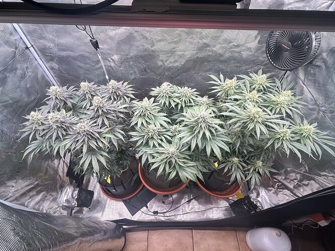 Growreport Bild 13