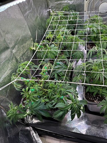 Growreport Bild 7