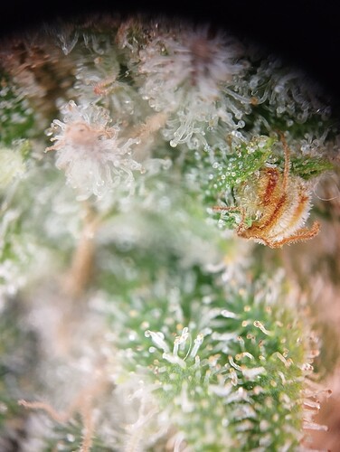 090824-P2_01 - Kopie