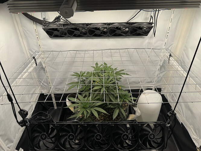 20240507_212450311_iOS