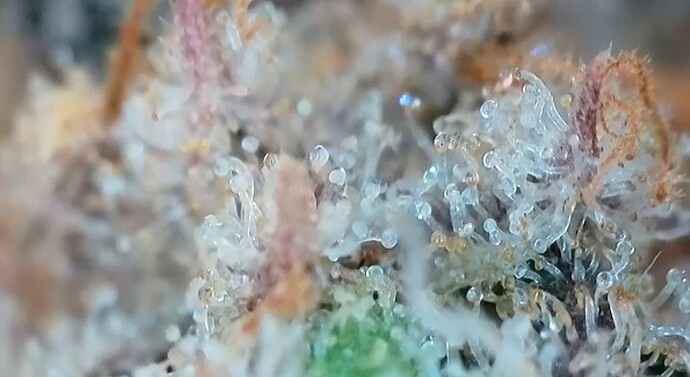 Growreport Bild 10