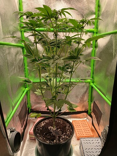 Growreport Bild 8