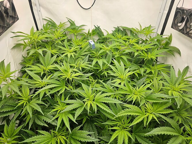 Growreport Bild 10