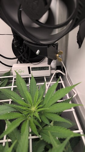 Growreport Bild 10