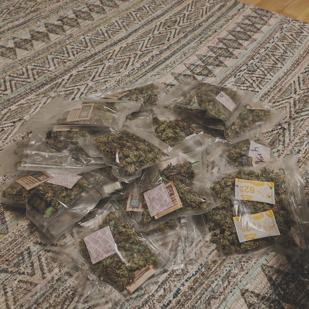 Zweiter Grow! Alien👽Moonrocks & OG🥦Kush