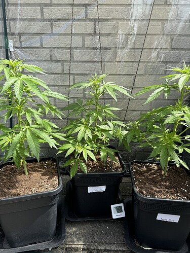 Growreport Bild 1