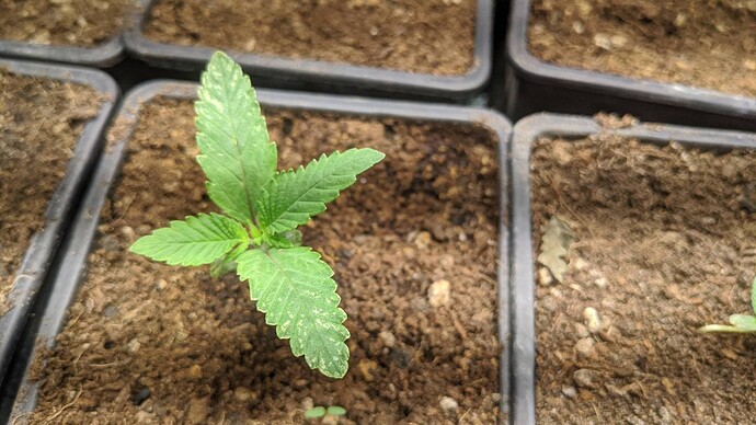 Growreport Bild 9