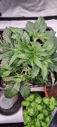 Growreport Bild 4