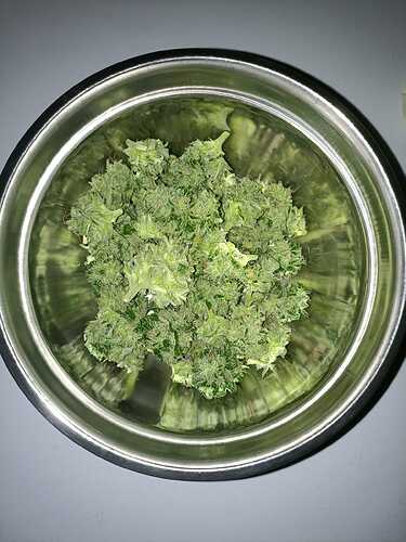 Growreport Bild 8