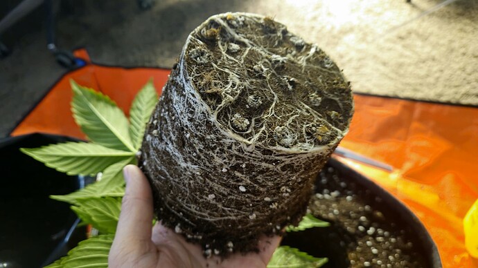 Growreport Bild 14