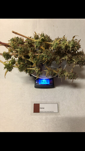 Growreport Bild 7