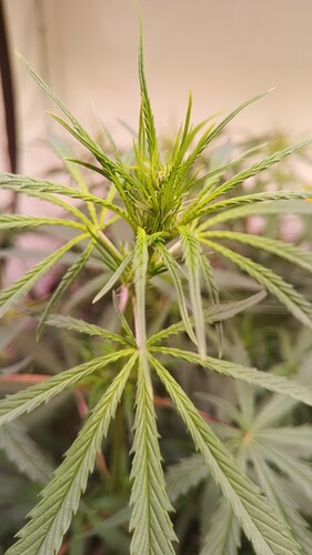 Growreport Bild 18