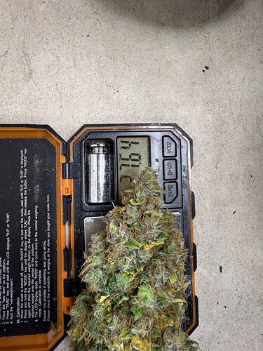 Growreport Bild 8