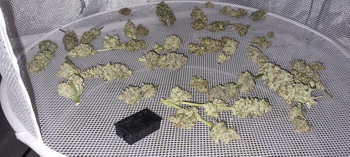Growreport Bild 58