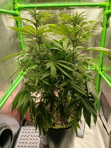 Growreport Bild 14