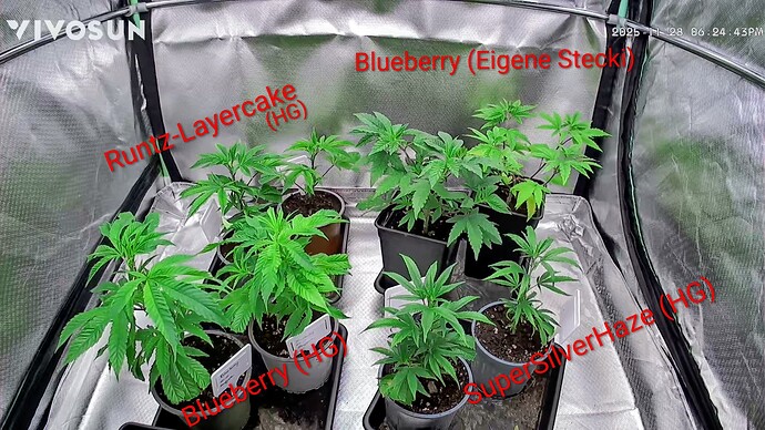 Growreport Bild 10