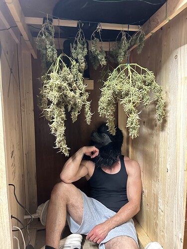 Growreport Bild 9