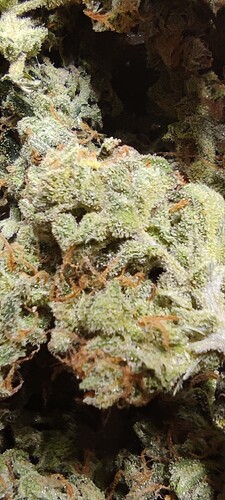 Growreport Bild 23