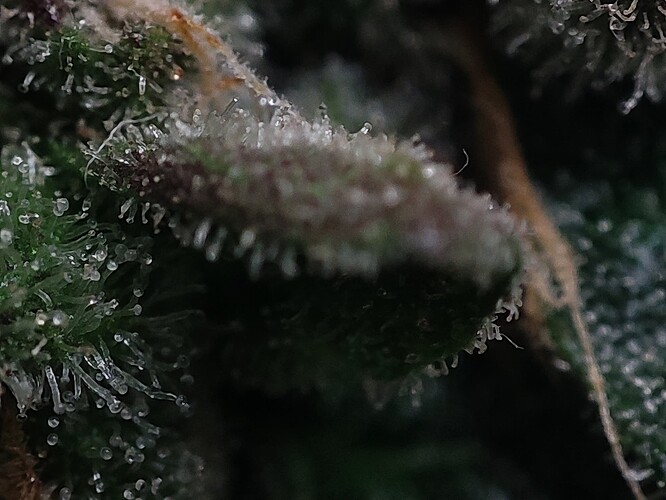 Growreport Bild 48