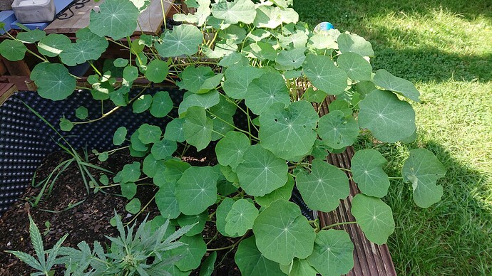 Growreport Bild 9