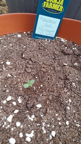 Growreport Bild 4