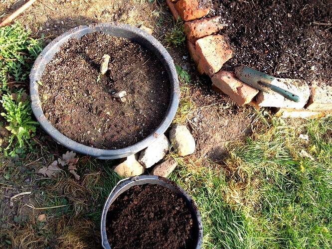 Growreport Bild 48