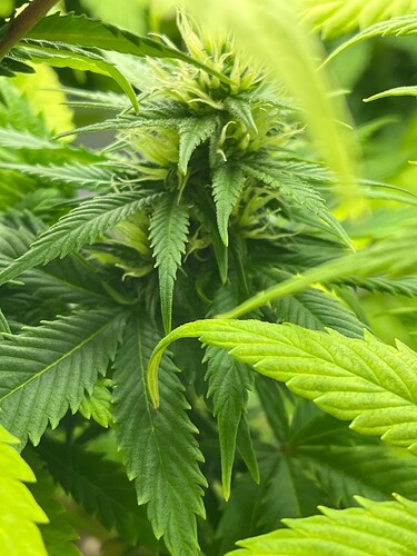 Growreport Bild 21