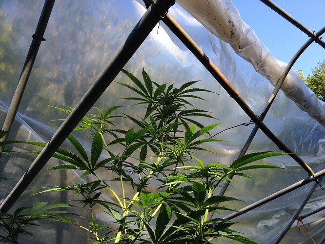 Grow24_0921_01