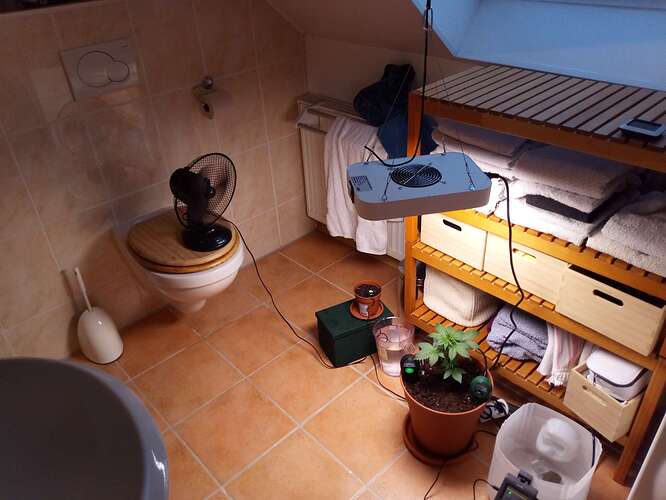 Compress_20240518_192332_2785