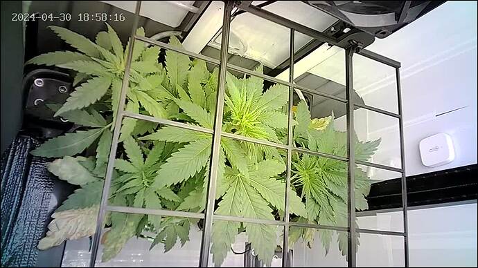 Growreport Bild 10