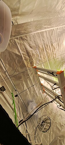 Growreport Bild 29