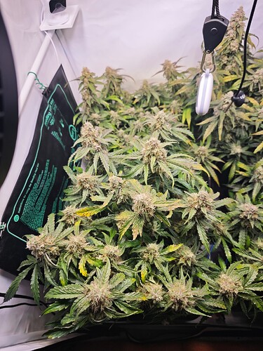 MVIMG_20251121_193040