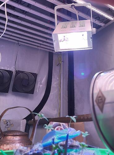 IMG_20240420_233415_HDR